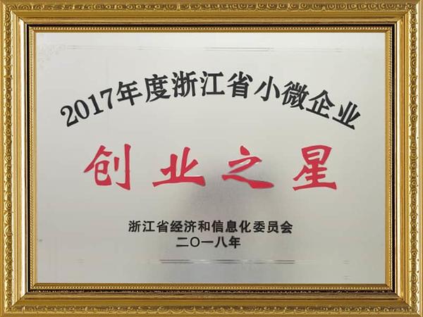 2017 Zhejiang Kleine en Micro Enterprise Ondernemerschap Star